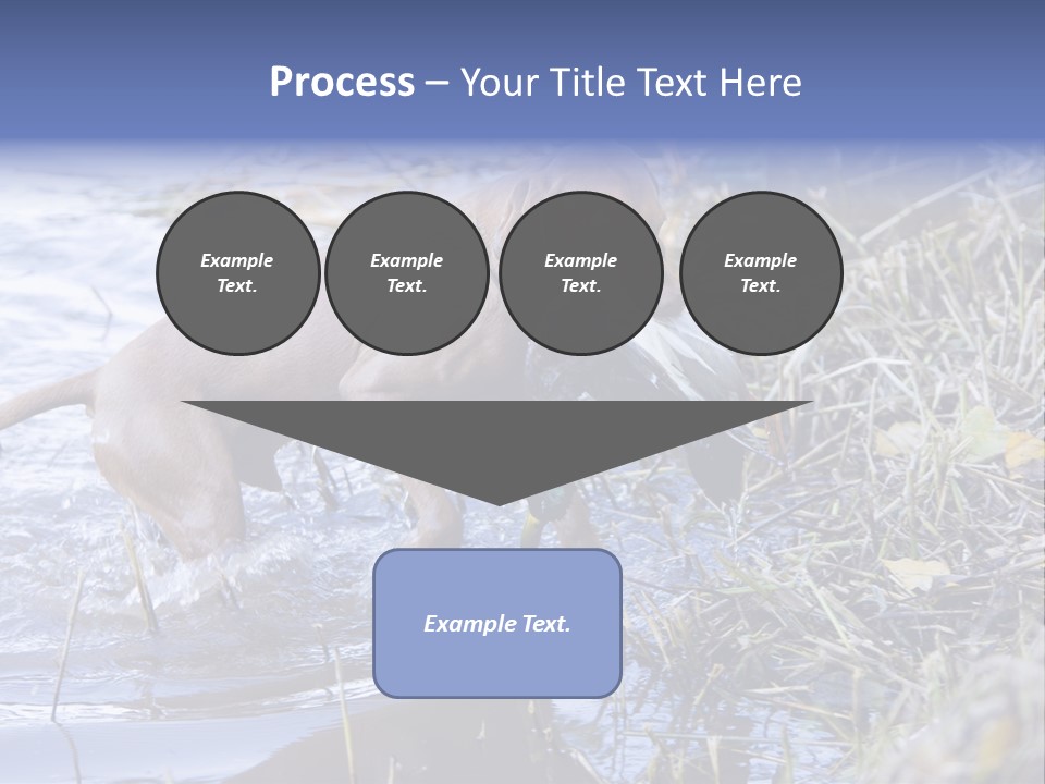 Game Management Huntsmanship Domestic Animal PowerPoint Template