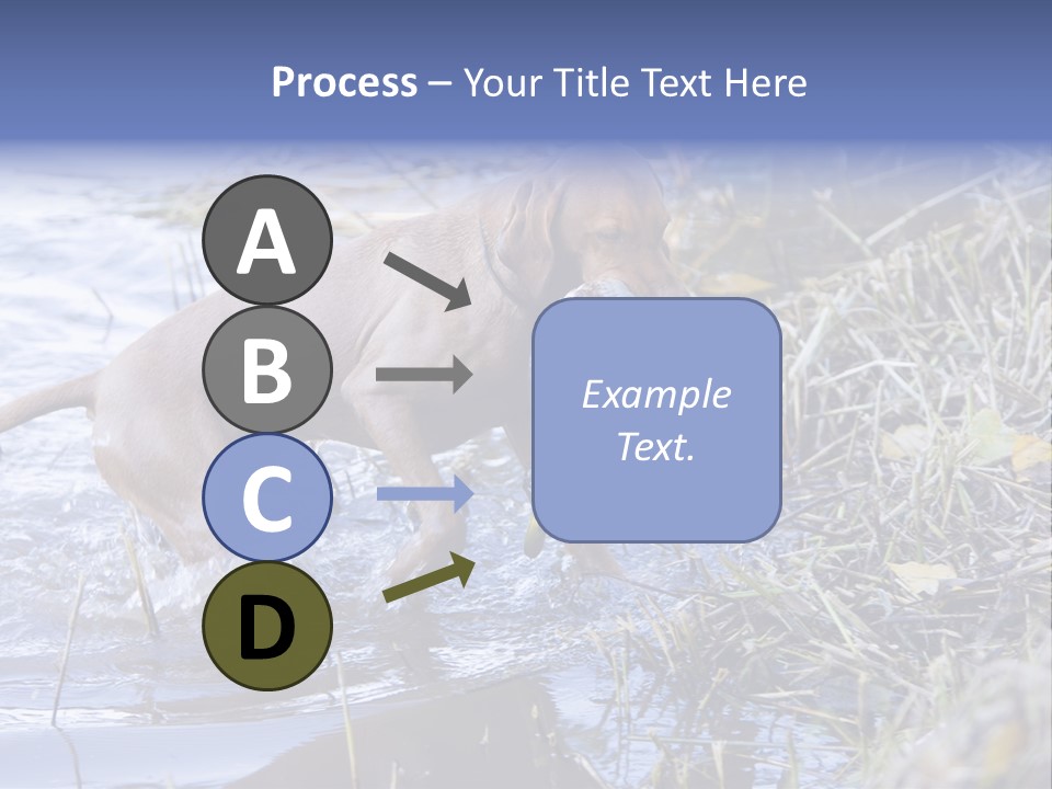 Game Management Huntsmanship Domestic Animal PowerPoint Template