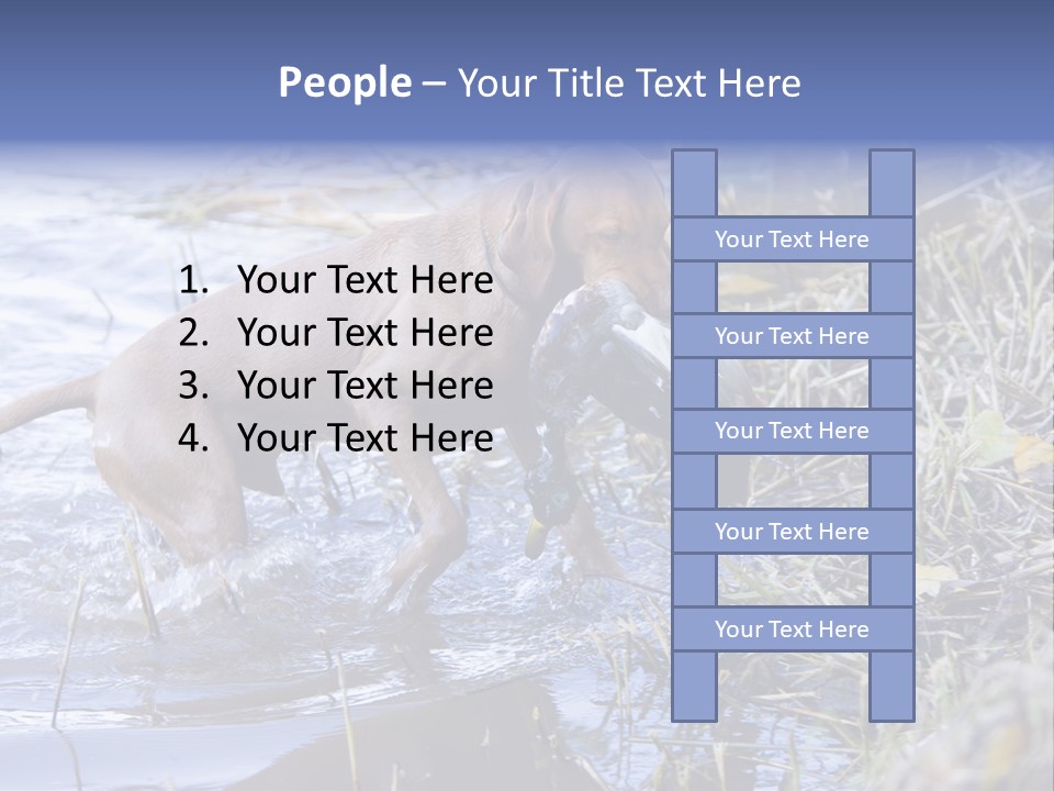 Game Management Huntsmanship Domestic Animal PowerPoint Template