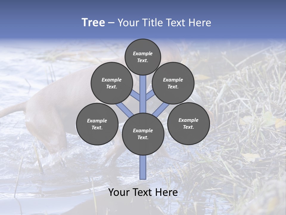 Game Management Huntsmanship Domestic Animal PowerPoint Template