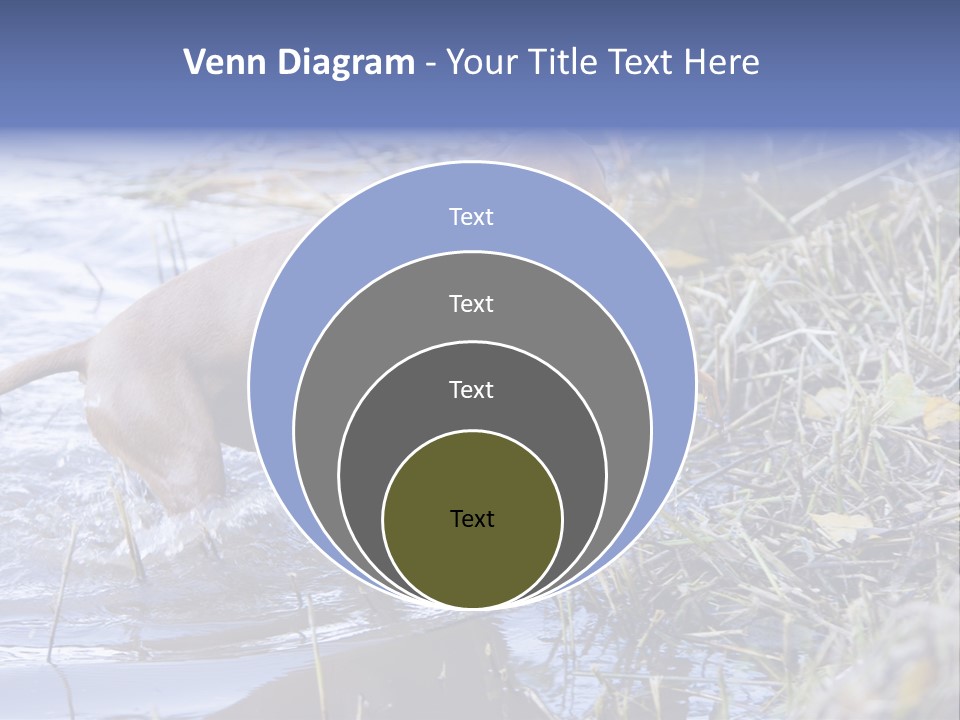 Game Management Huntsmanship Domestic Animal PowerPoint Template