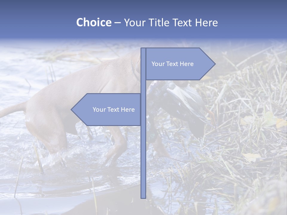 Game Management Huntsmanship Domestic Animal PowerPoint Template