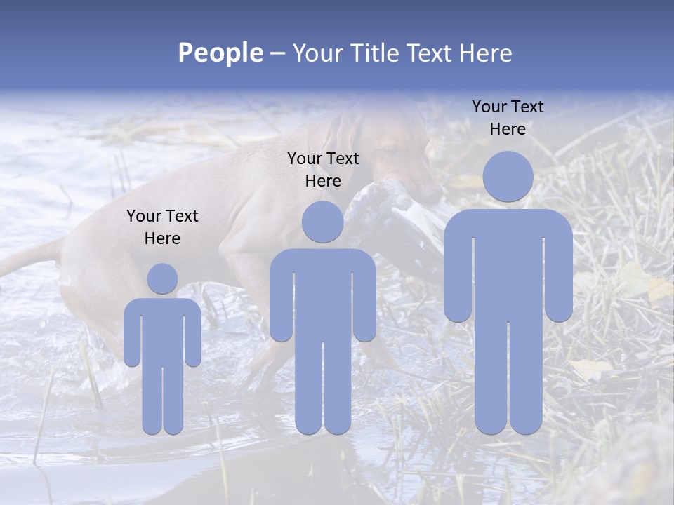 Game Management Huntsmanship Domestic Animal PowerPoint Template