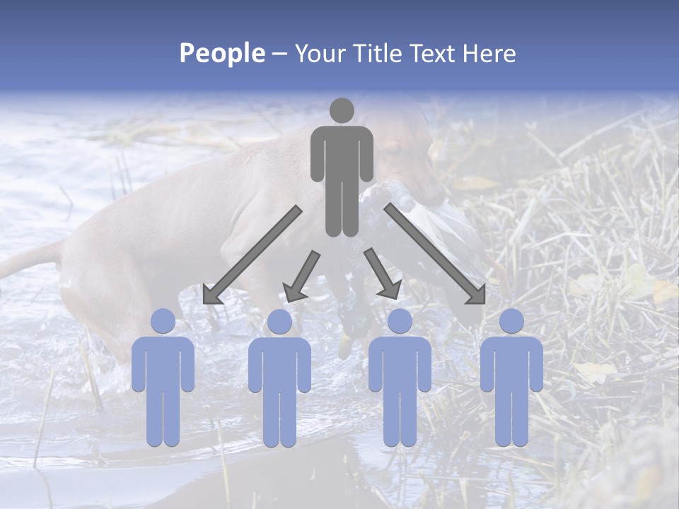 Game Management Huntsmanship Domestic Animal PowerPoint Template