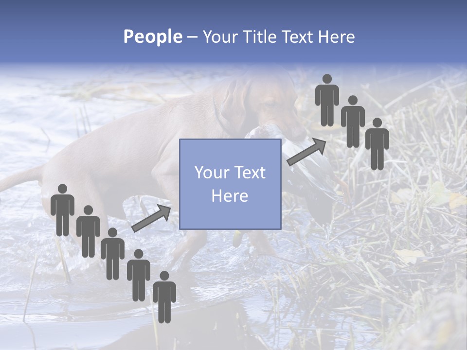 Game Management Huntsmanship Domestic Animal PowerPoint Template