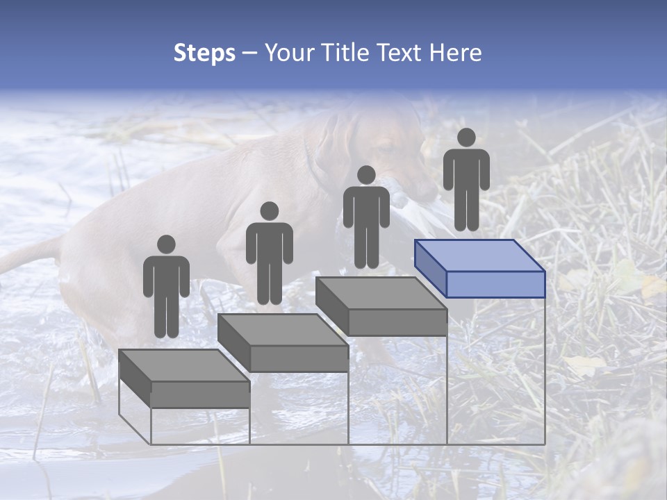Game Management Huntsmanship Domestic Animal PowerPoint Template