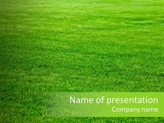 Nature Grow Landscape PowerPoint Template