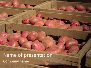 Seasonal Cultivar Crate PowerPoint Template