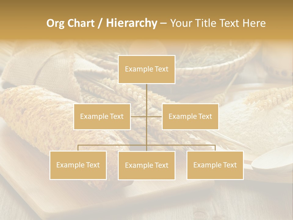 Corn Concept Closeup PowerPoint Template