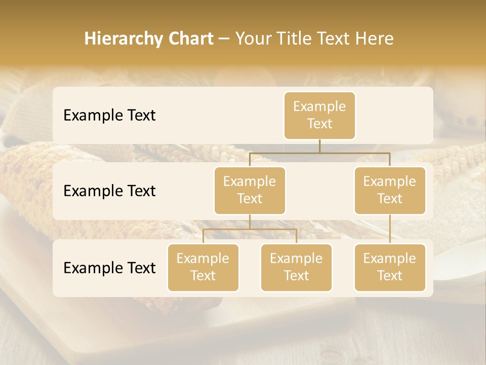 Corn Concept Closeup PowerPoint Template