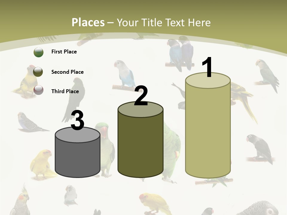 Domestic Animal Peachfaced Orange PowerPoint Template