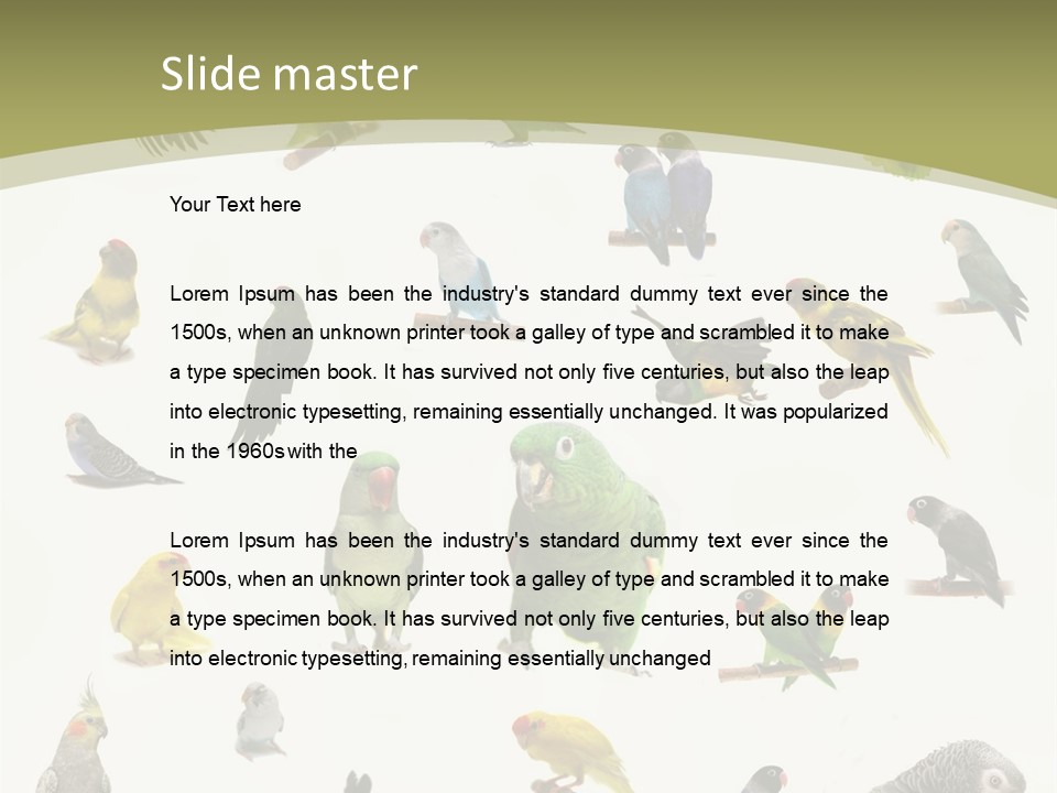 Domestic Animal Peachfaced Orange PowerPoint Template