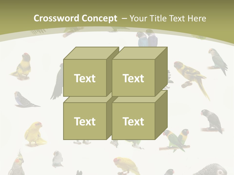 Domestic Animal Peachfaced Orange PowerPoint Template