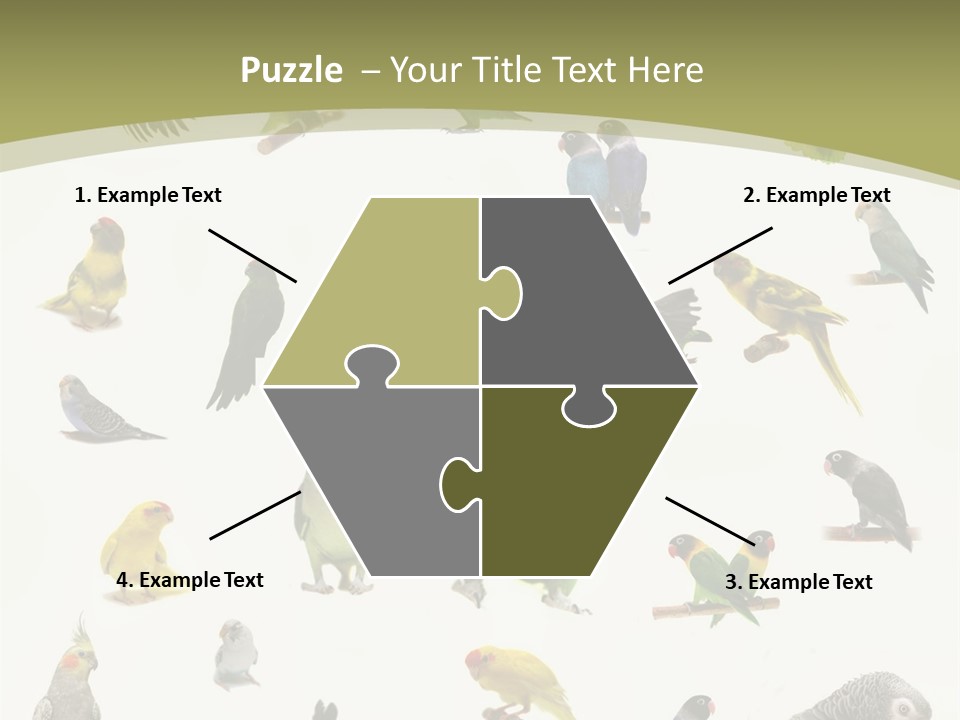 Domestic Animal Peachfaced Orange PowerPoint Template