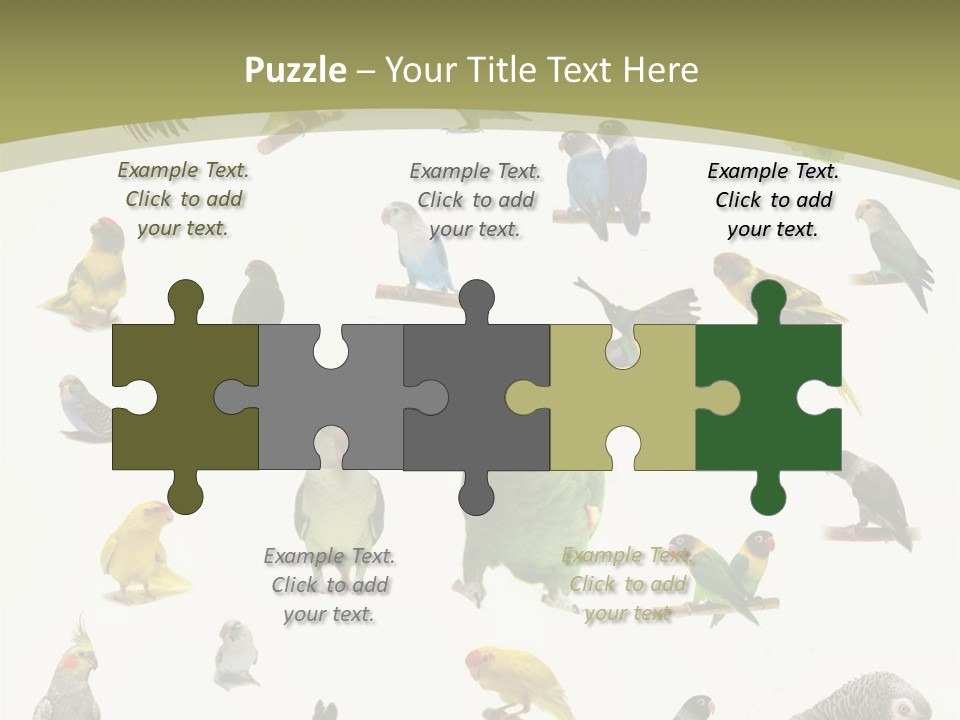 Domestic Animal Peachfaced Orange PowerPoint Template