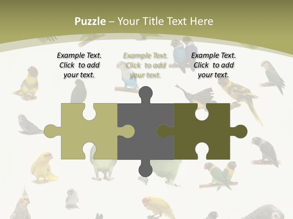 Domestic Animal Peachfaced Orange PowerPoint Template