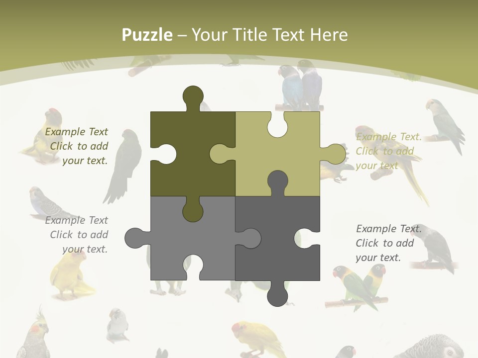 Domestic Animal Peachfaced Orange PowerPoint Template