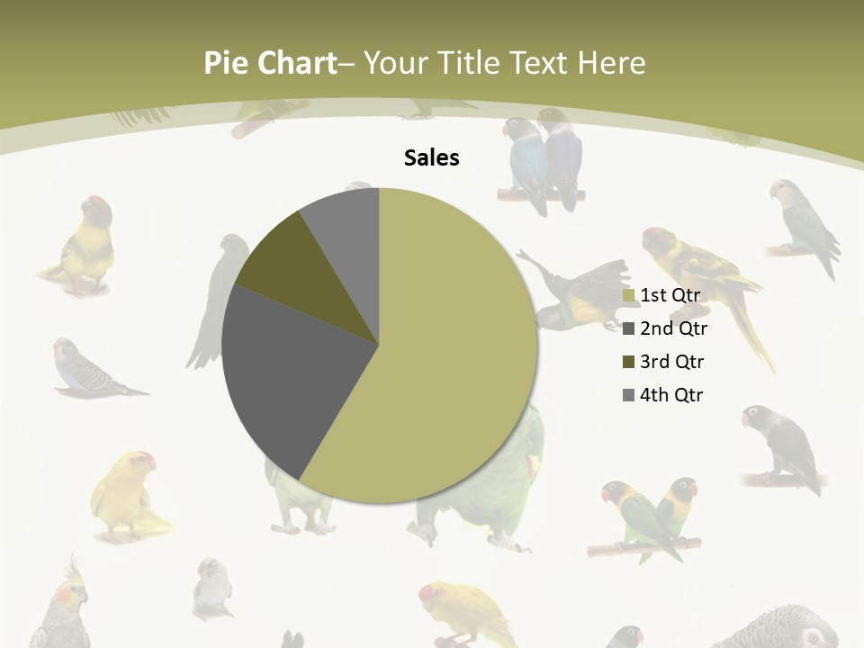 Domestic Animal Peachfaced Orange PowerPoint Template
