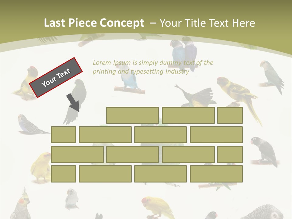 Domestic Animal Peachfaced Orange PowerPoint Template