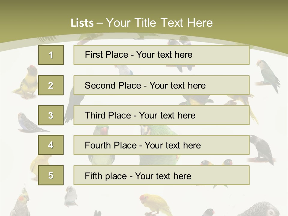 Domestic Animal Peachfaced Orange PowerPoint Template