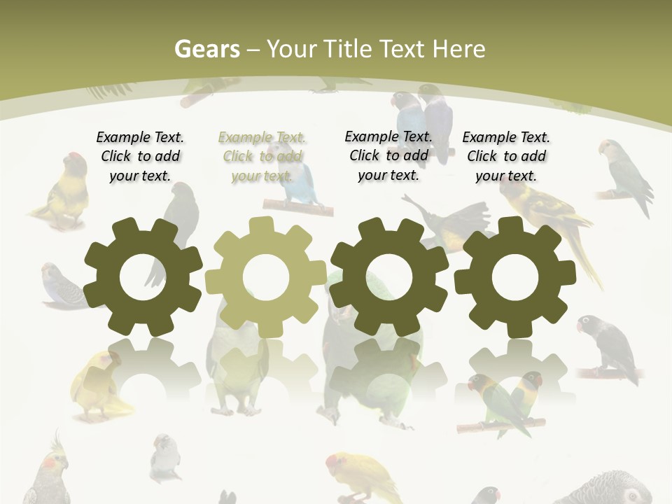 Domestic Animal Peachfaced Orange PowerPoint Template