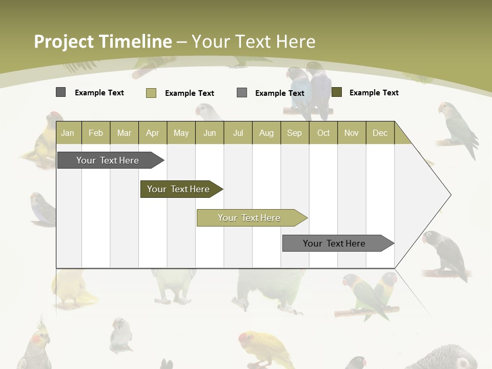 Domestic Animal Peachfaced Orange PowerPoint Template