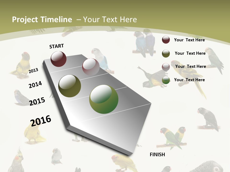 Domestic Animal Peachfaced Orange PowerPoint Template