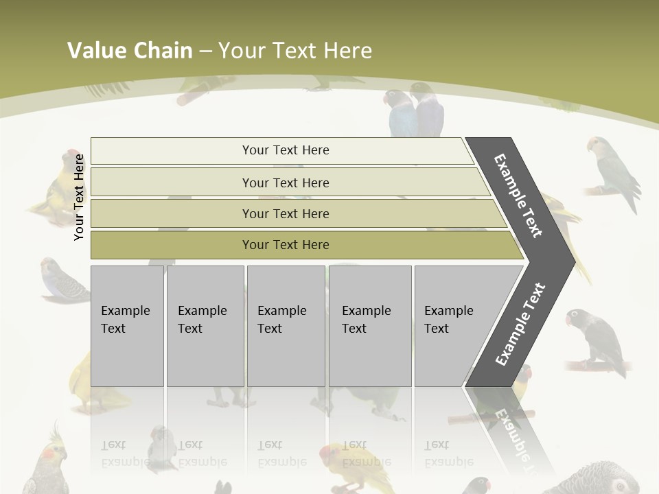 Domestic Animal Peachfaced Orange PowerPoint Template