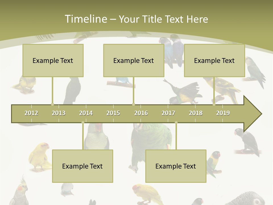 Domestic Animal Peachfaced Orange PowerPoint Template