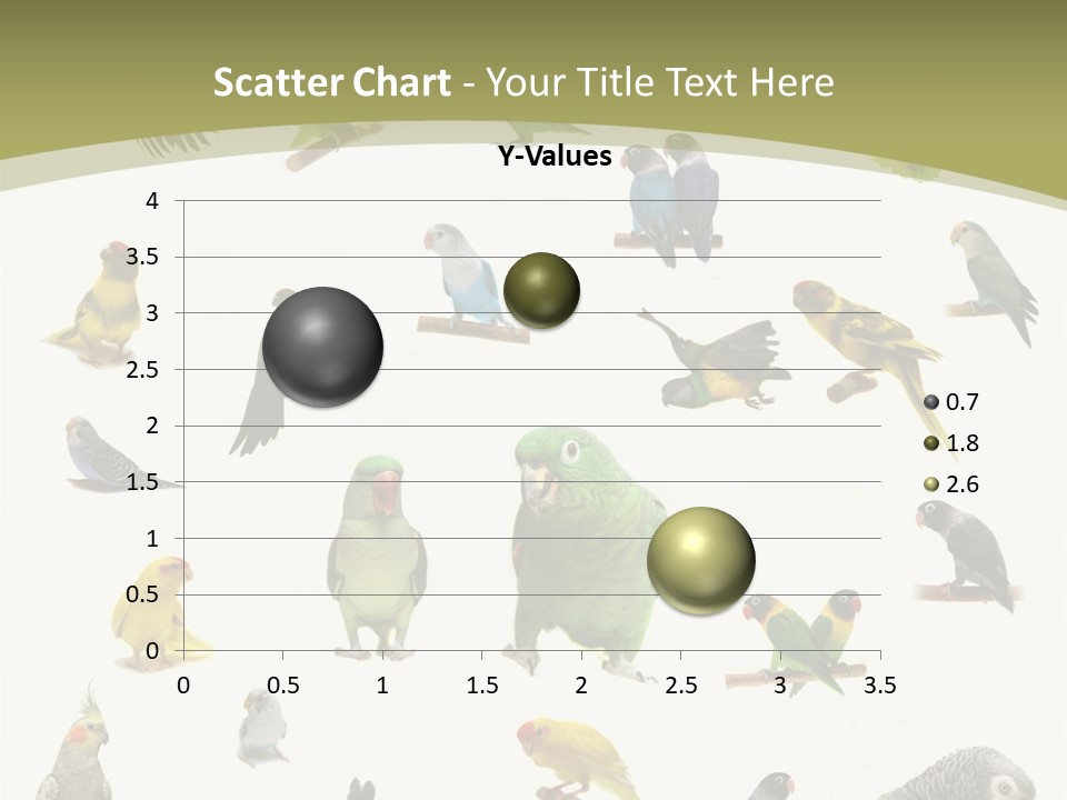 Domestic Animal Peachfaced Orange PowerPoint Template