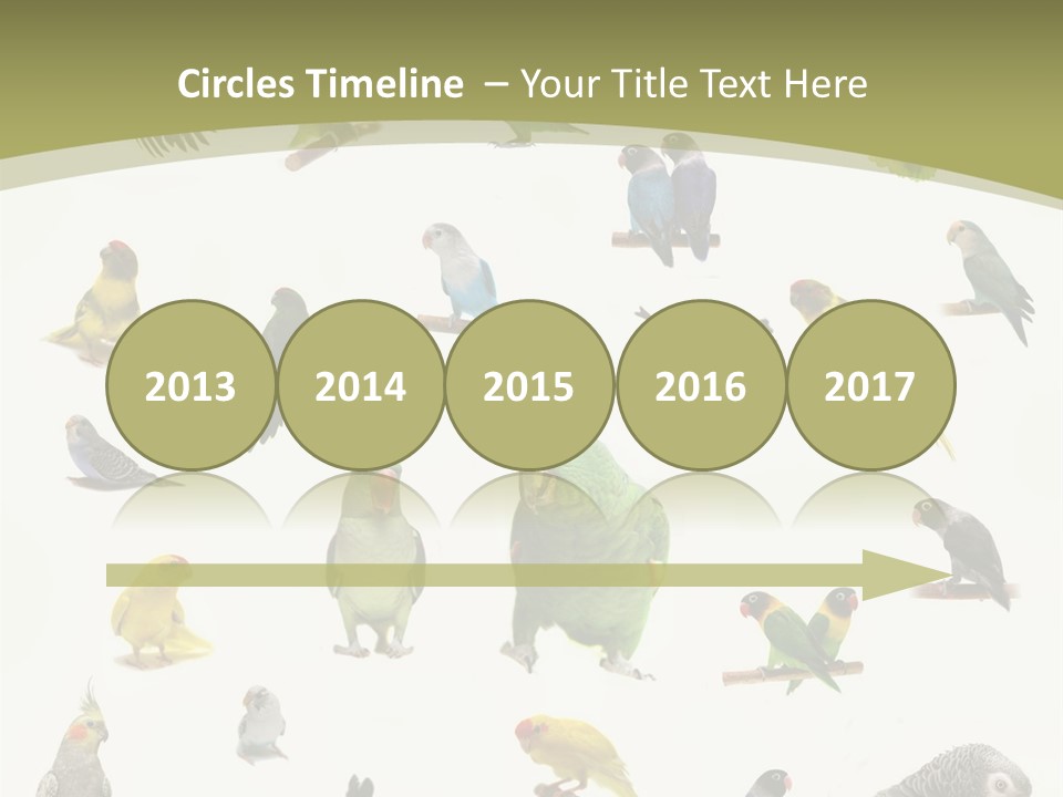 Domestic Animal Peachfaced Orange PowerPoint Template