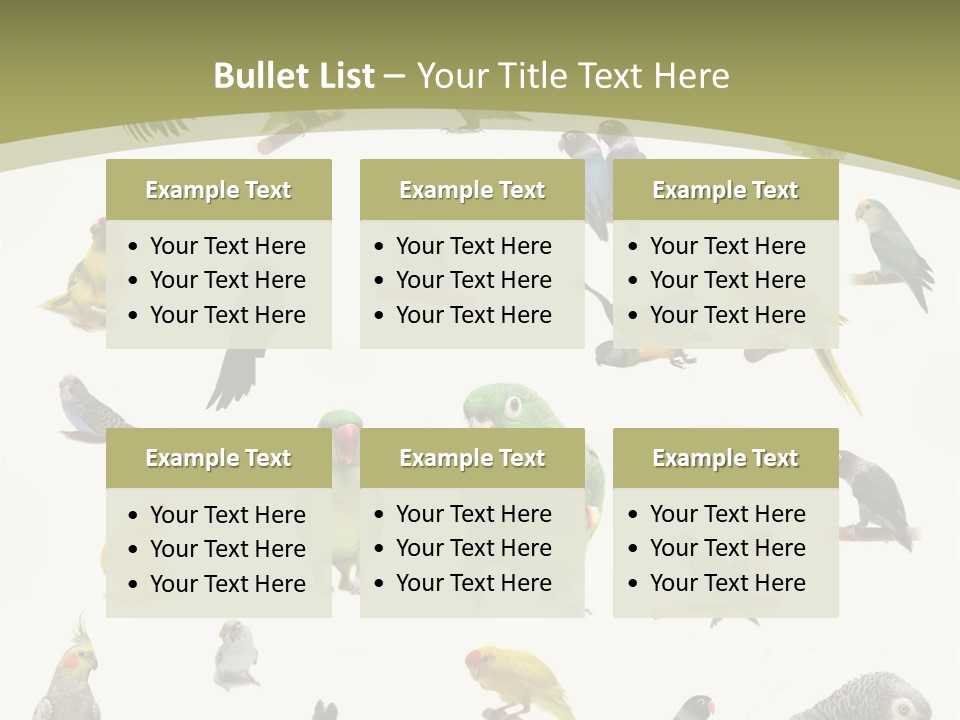 Domestic Animal Peachfaced Orange PowerPoint Template