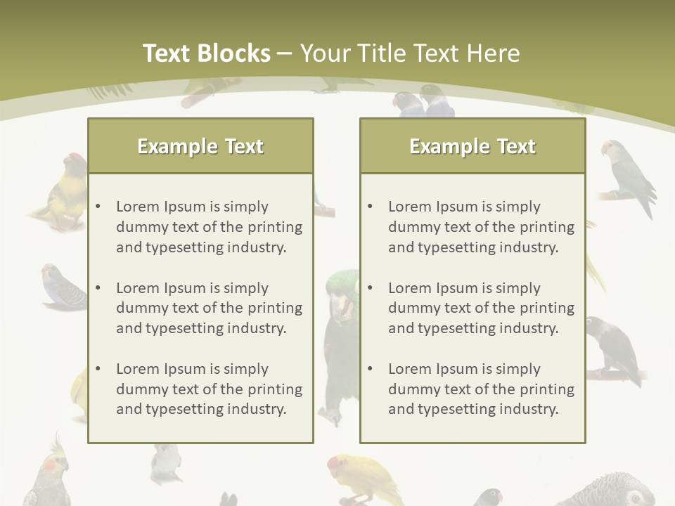 Domestic Animal Peachfaced Orange PowerPoint Template