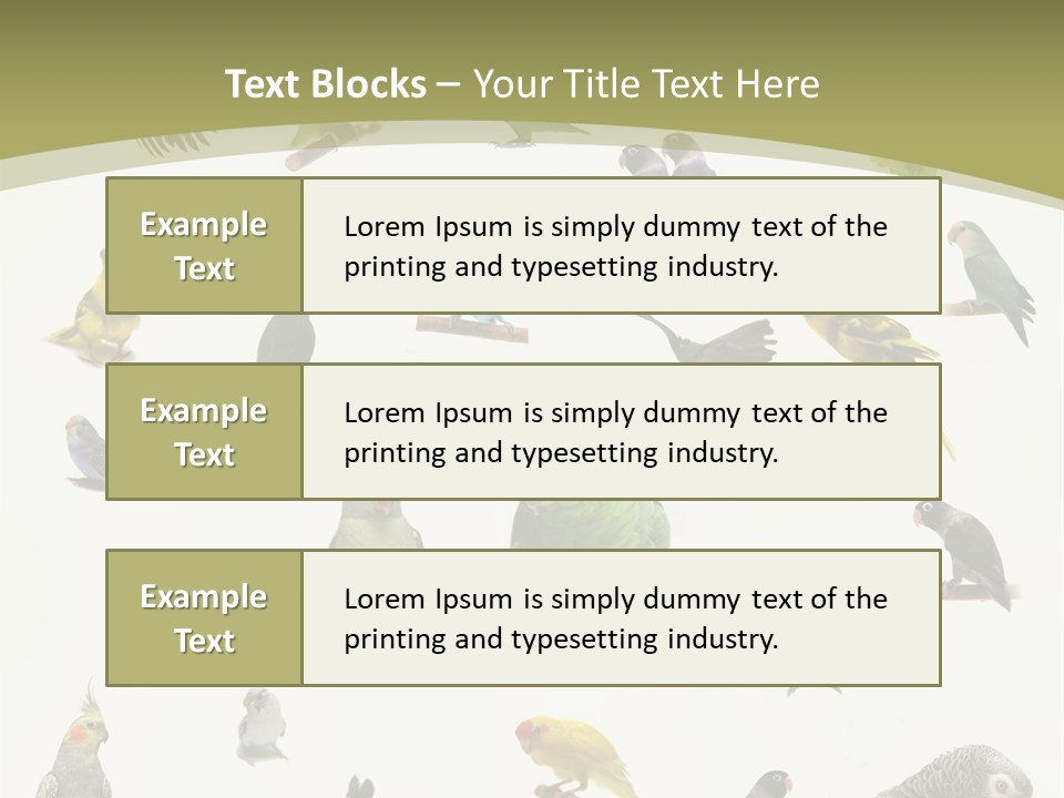 Domestic Animal Peachfaced Orange PowerPoint Template