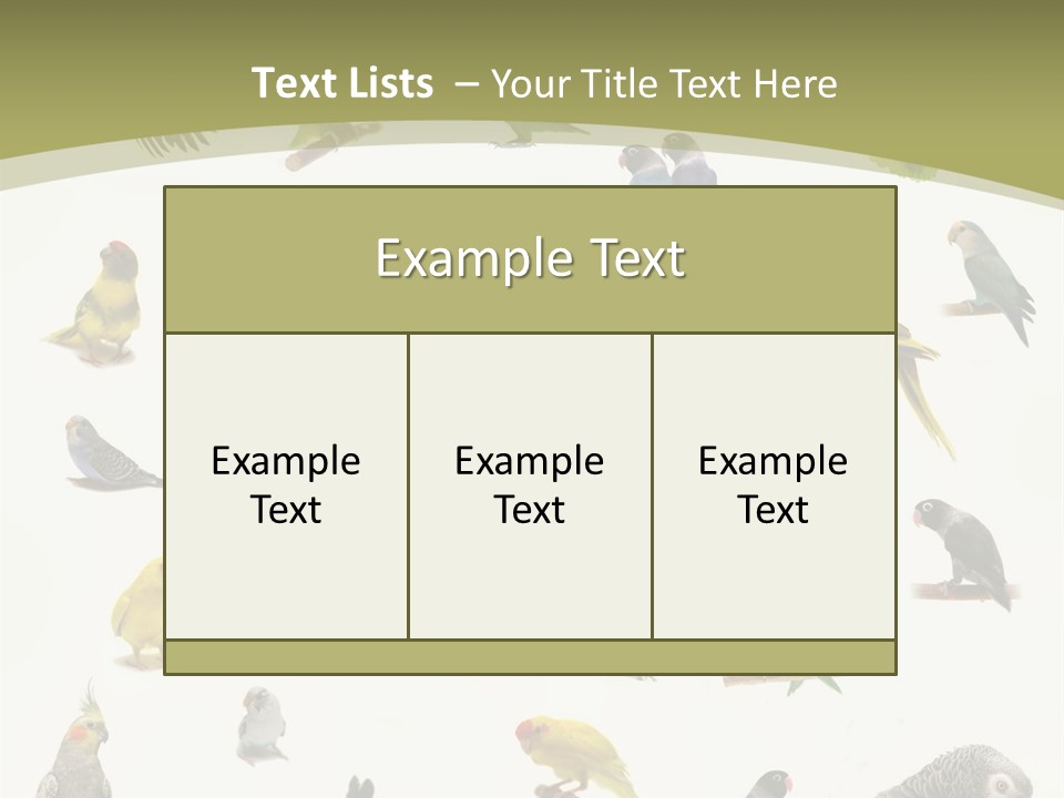 Domestic Animal Peachfaced Orange PowerPoint Template