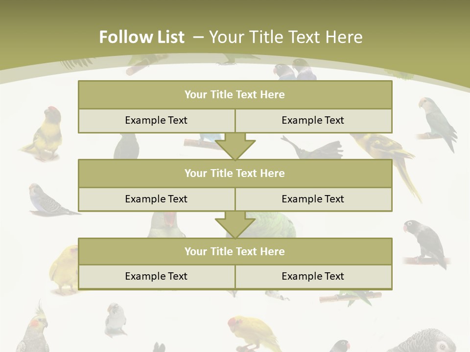Domestic Animal Peachfaced Orange PowerPoint Template