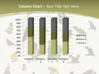 Domestic Animal Peachfaced Orange PowerPoint Template