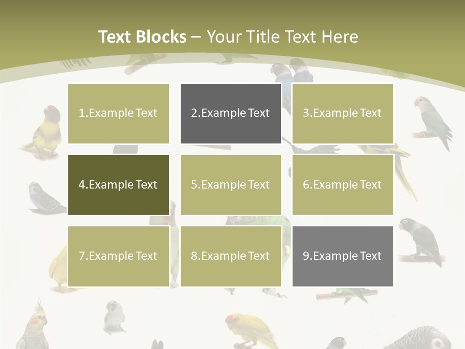 Domestic Animal Peachfaced Orange PowerPoint Template