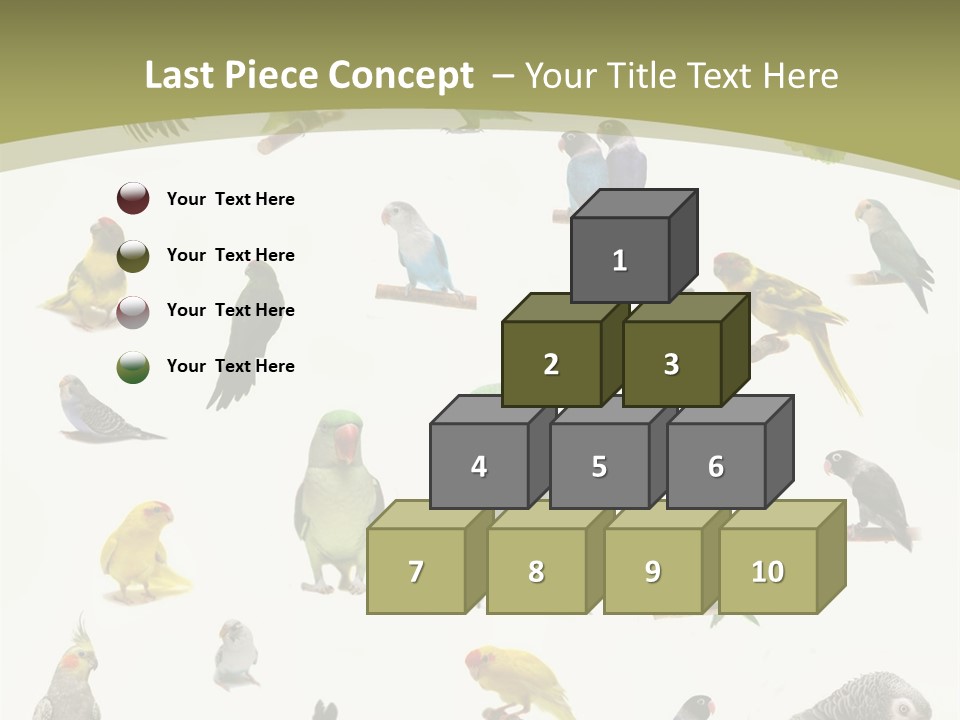 Domestic Animal Peachfaced Orange PowerPoint Template