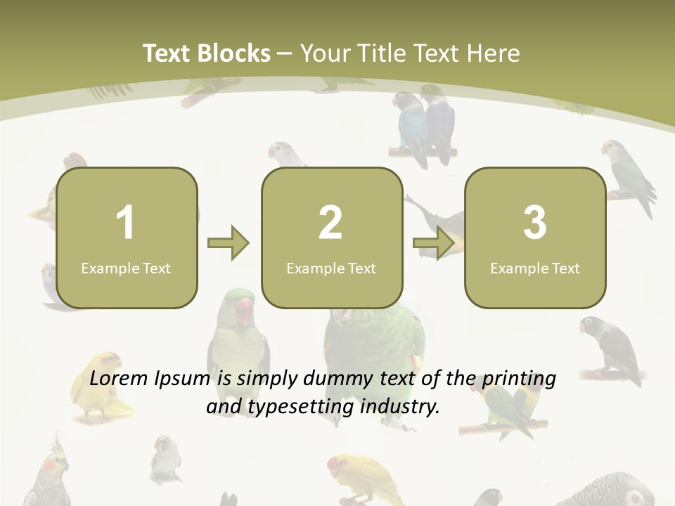 Domestic Animal Peachfaced Orange PowerPoint Template