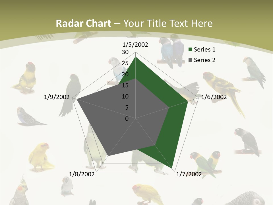 Domestic Animal Peachfaced Orange PowerPoint Template