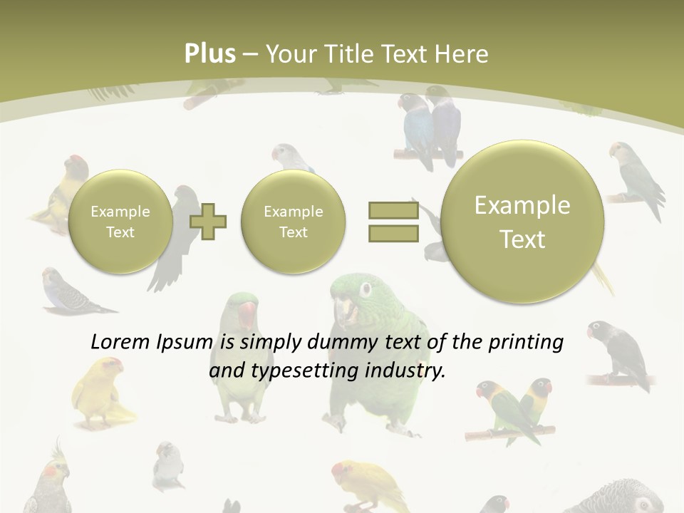 Domestic Animal Peachfaced Orange PowerPoint Template