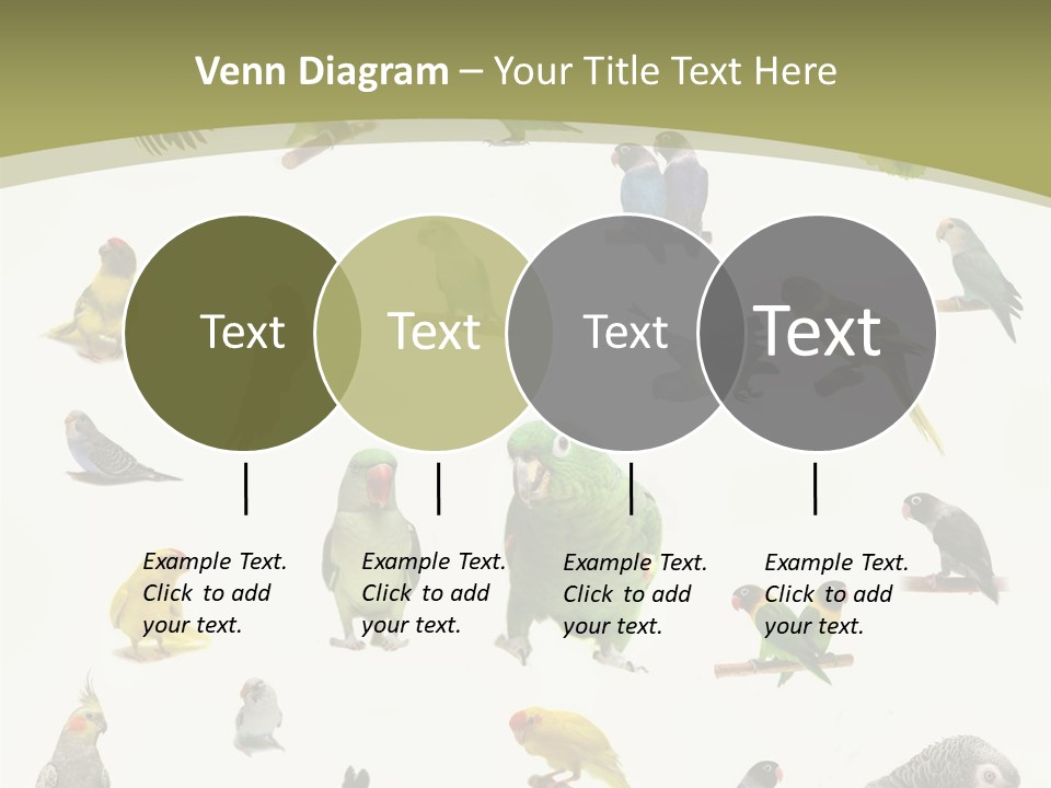 Domestic Animal Peachfaced Orange PowerPoint Template