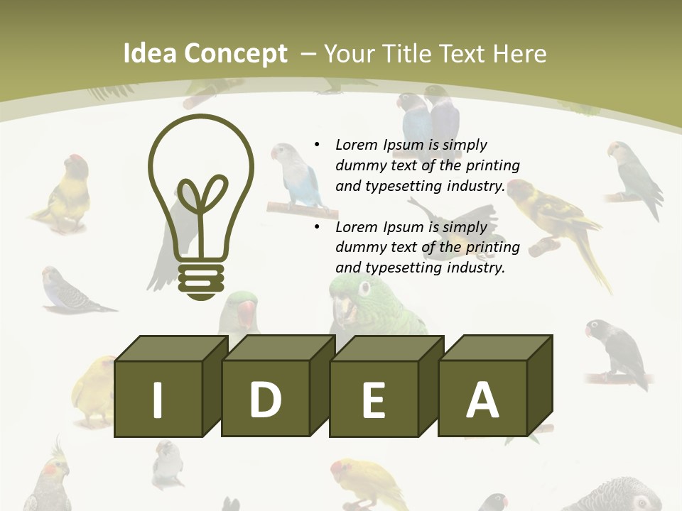 Domestic Animal Peachfaced Orange PowerPoint Template