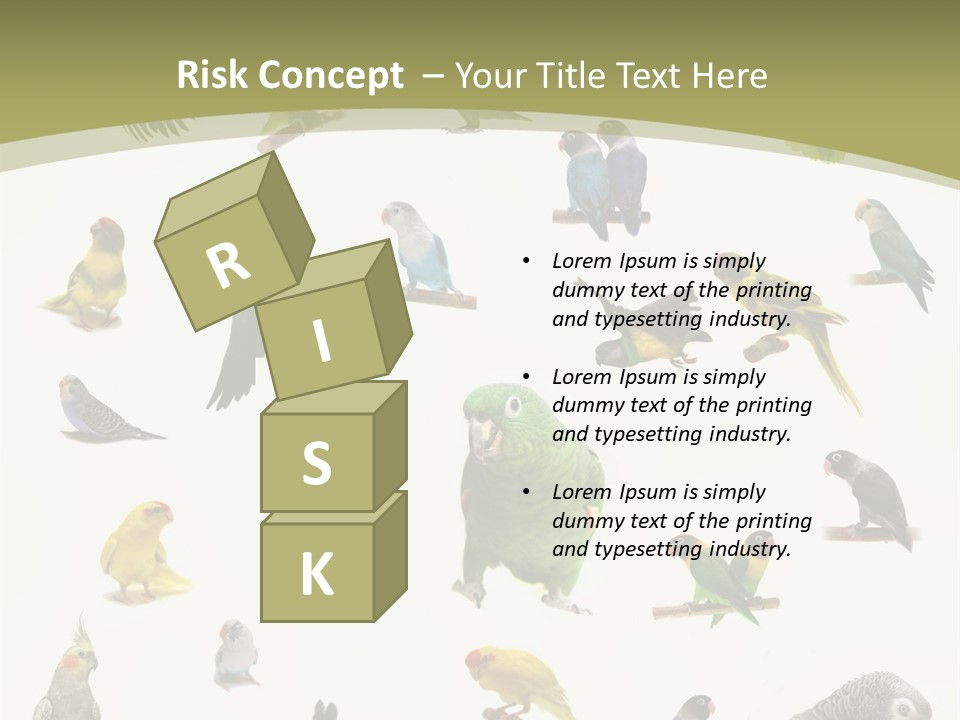 Domestic Animal Peachfaced Orange PowerPoint Template