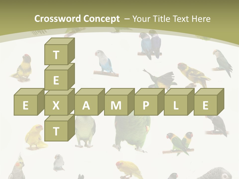 Domestic Animal Peachfaced Orange PowerPoint Template