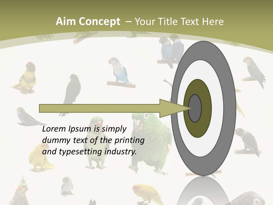 Domestic Animal Peachfaced Orange PowerPoint Template