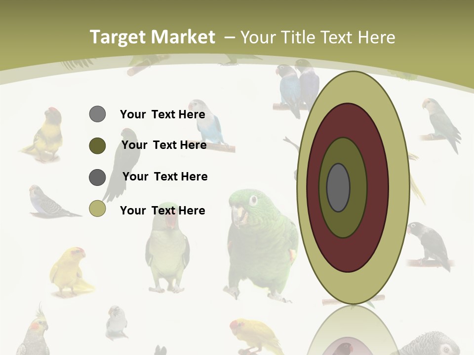 Domestic Animal Peachfaced Orange PowerPoint Template