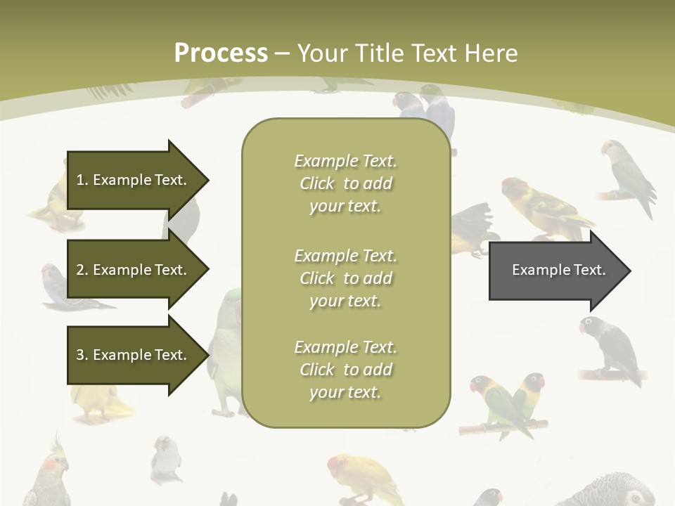 Domestic Animal Peachfaced Orange PowerPoint Template