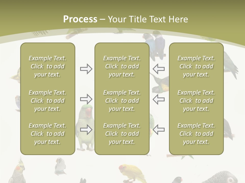 Domestic Animal Peachfaced Orange PowerPoint Template